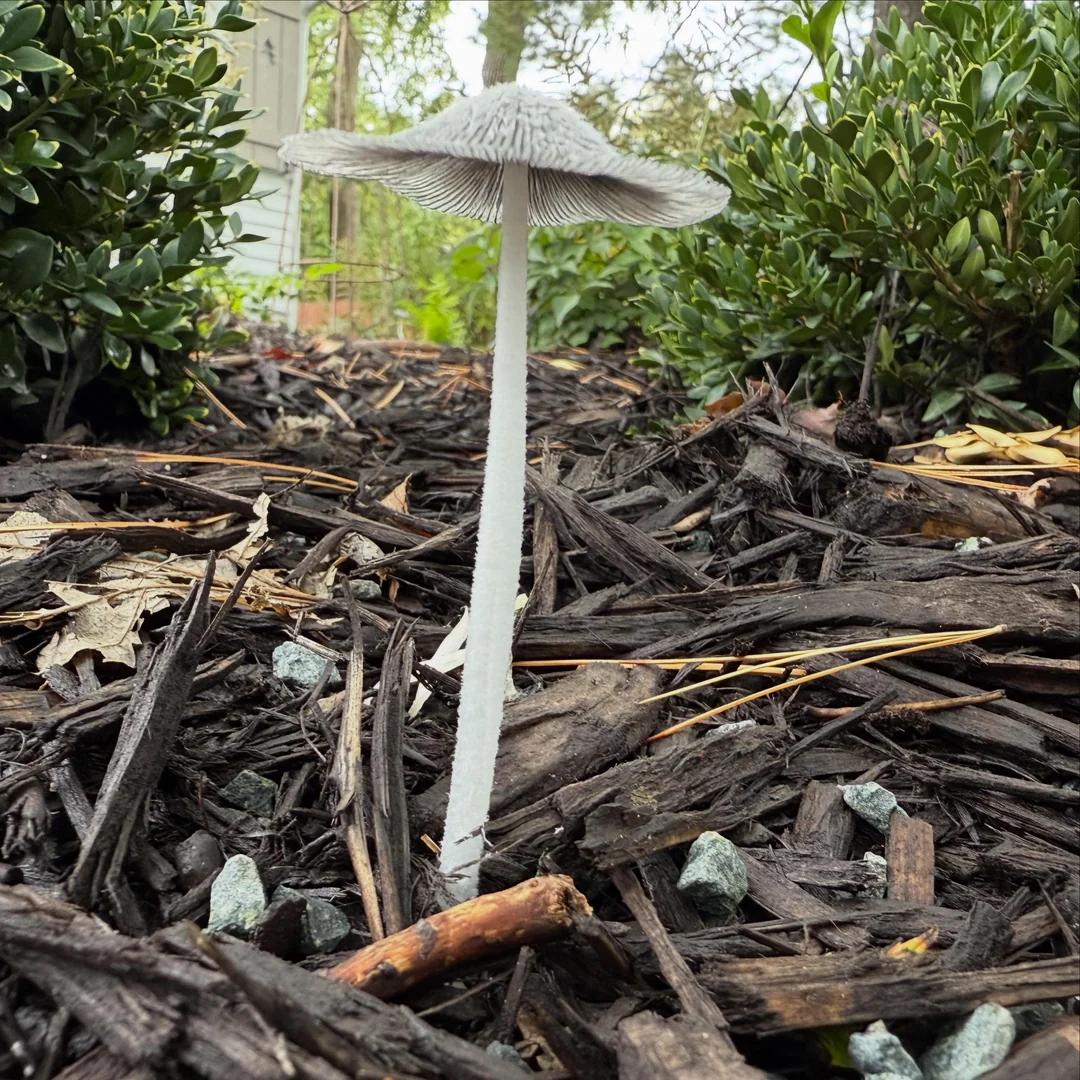 20 Gripping Photos from Around the Globe