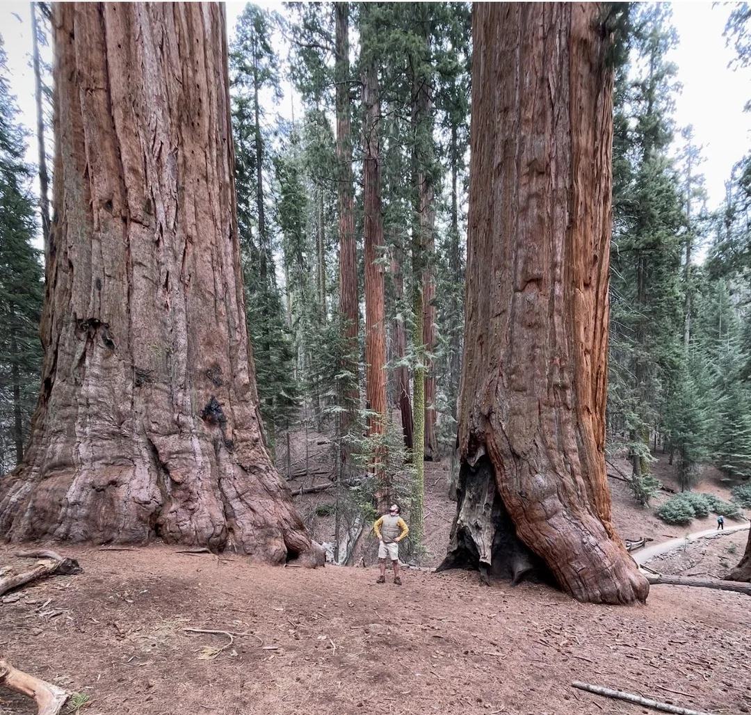 20 Gripping Photos from Around the Globe