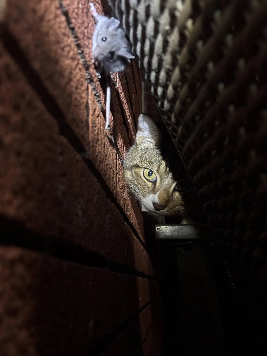 20 Gripping Photos from Around the Globe