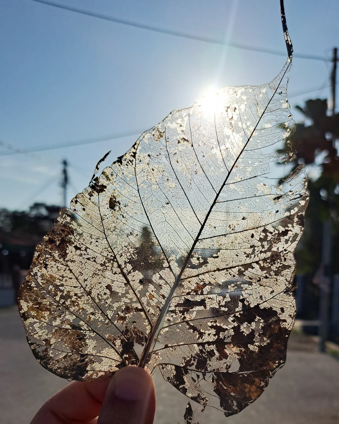 20 Gripping Photos from Around the Globe