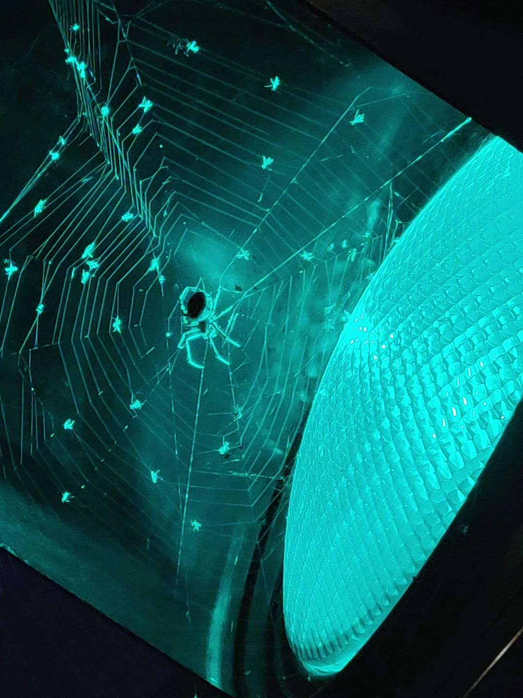 20 Gripping Photos from Around the Globe