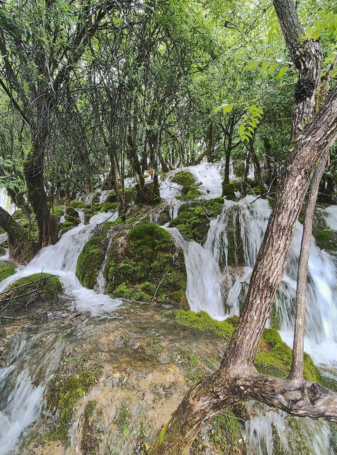 20 Gripping Photos from Around the Globe