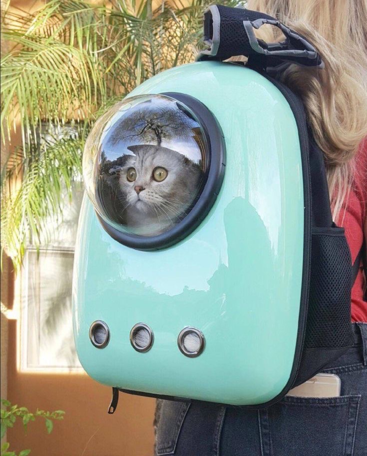 Cat Backpack