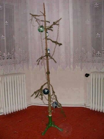 Sad Christmas Tree That’s Basically a Stick