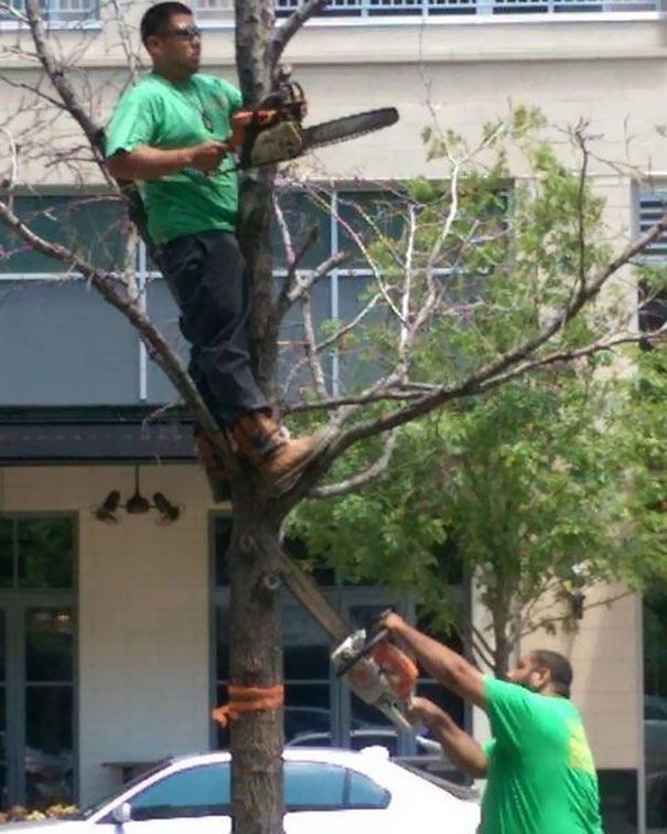 Teamwork with chainsaws