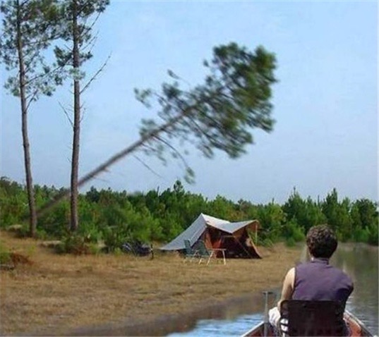 Tent with a Tree About to Fall on It