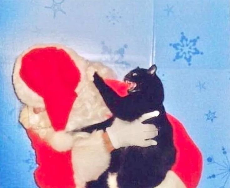 Santa Attacked with a Black Cat