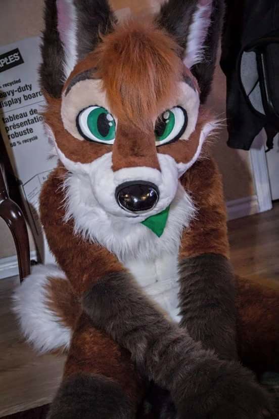 'Gay furry hackers' say they've disbanded after raiding Project 2025's Heritage Foundation