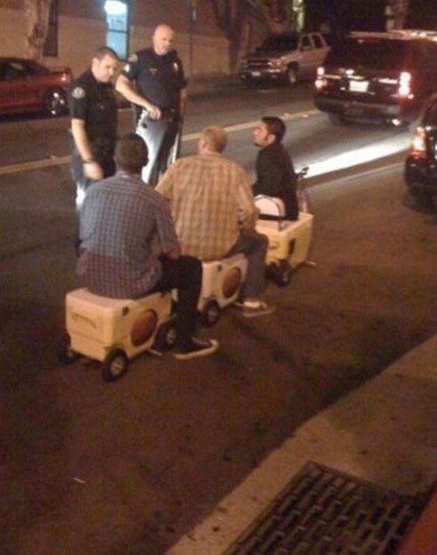 15 Photos Where Nobody Thought to Invite Common Sense