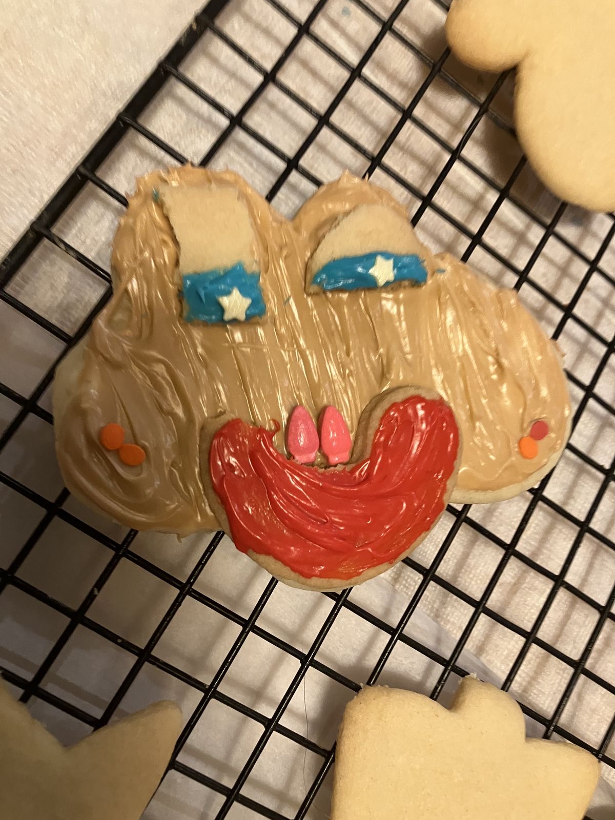 Christmas Cookie Shaped Like a Face That Went Bad