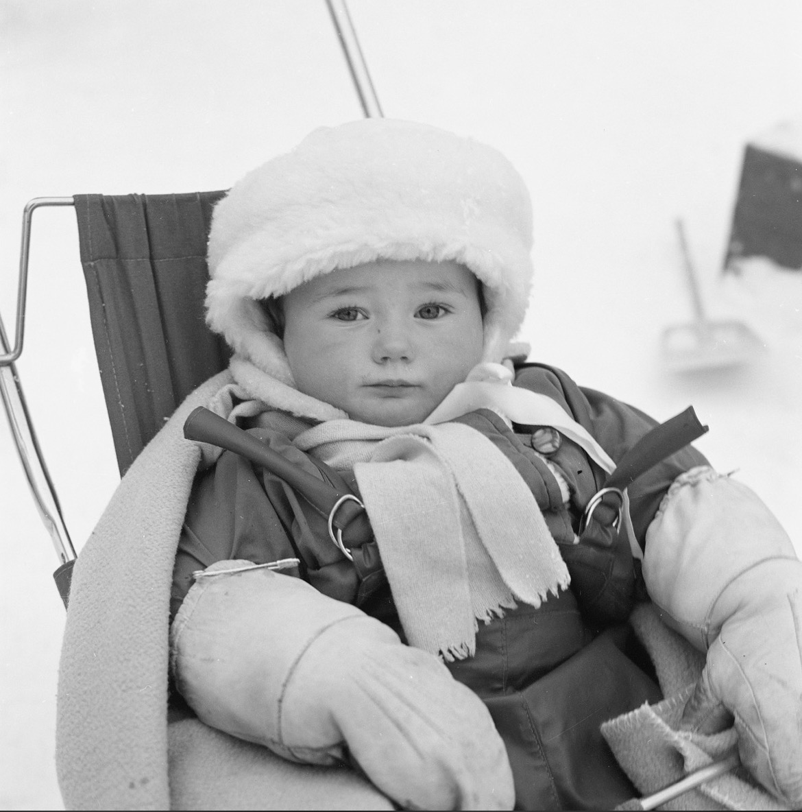 Buttoned Up Against the Cold