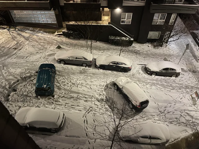 Tried to parallel park