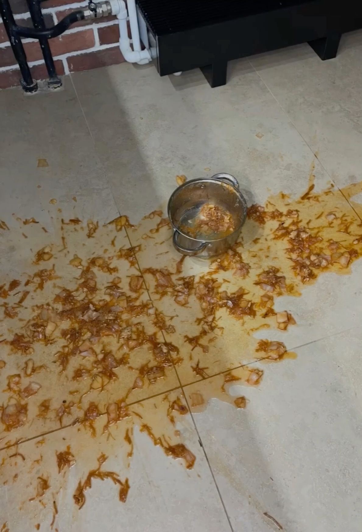 Pot of Food Falls on the Floor