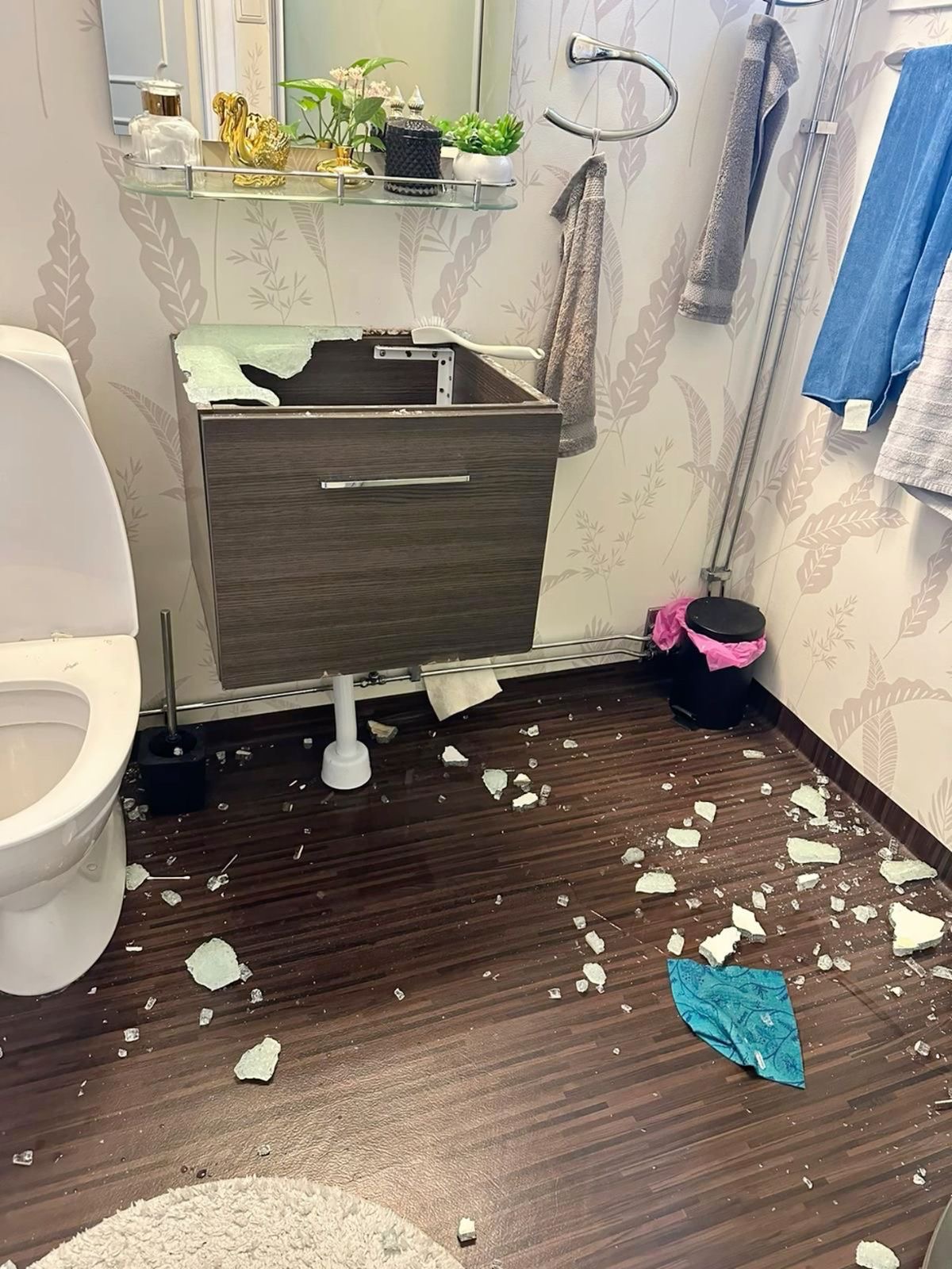 Bathroom Sink Broken 