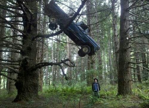 Truck Hanging From a Tree