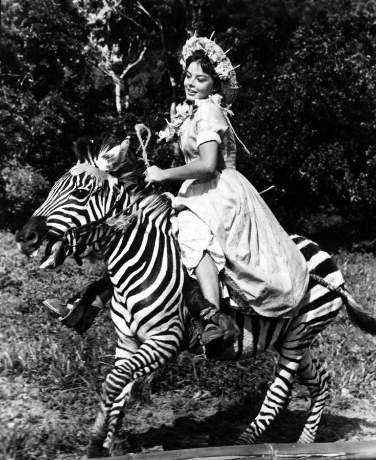 Just a Girl and Her Zebra