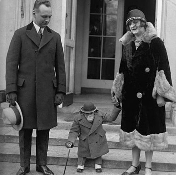 Family Outing Featuring a Dressed-Up Monkey