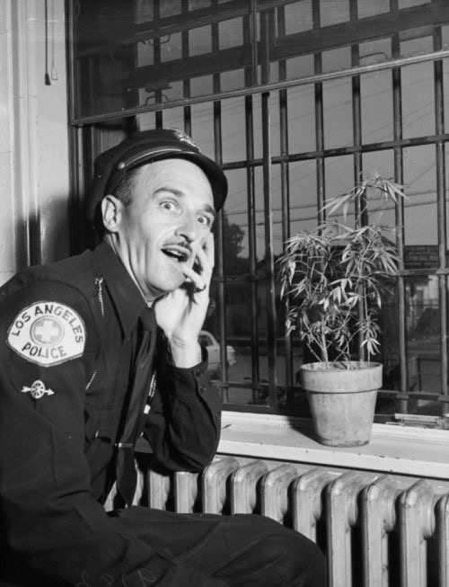 Officer Discovers a Very Confident Plant