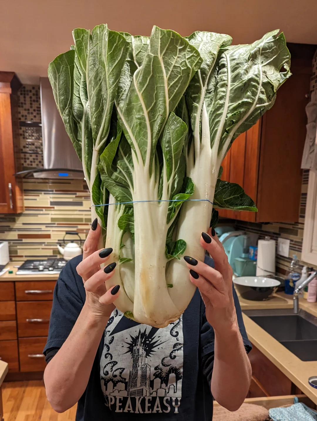 20 Things That Are Much Bigger Than You Might Think