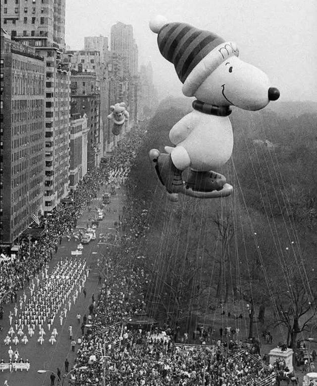 20 Things That Are Much Bigger Than You Might Think