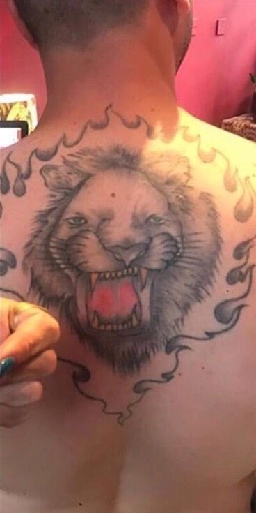 The Lion of Confusion