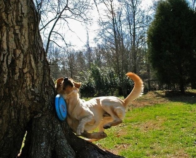 20 Photos Taken at the Absolute Perfect Moment | eBaum's World