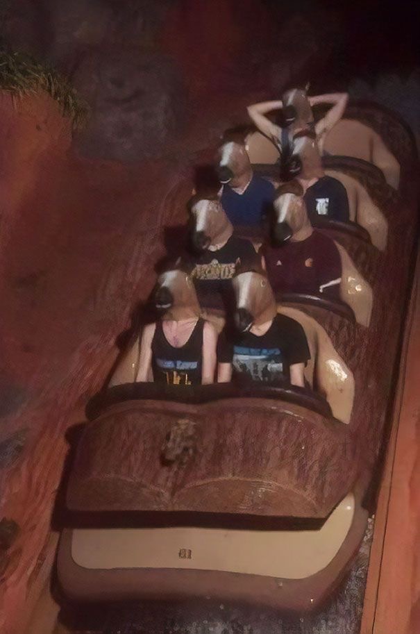 20 Photos Where Common Sense is Lost, But Chaos is Found | eBaum's World