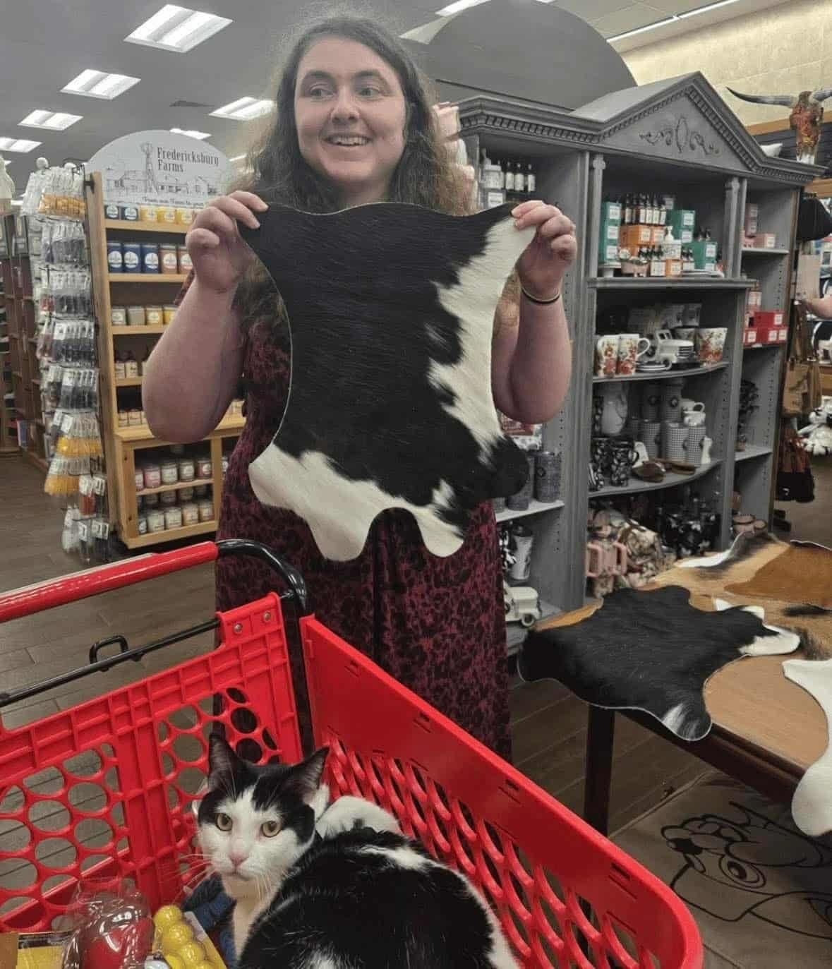 20 Photos Where Common Sense is Lost, But Chaos is Found | eBaum's World
