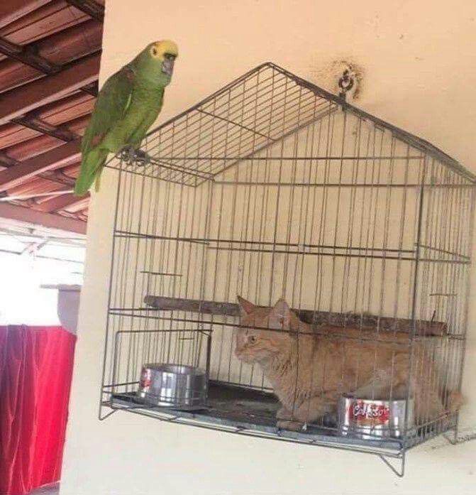 20 Photos Where Common Sense is Lost, But Chaos is Found | eBaum's World
