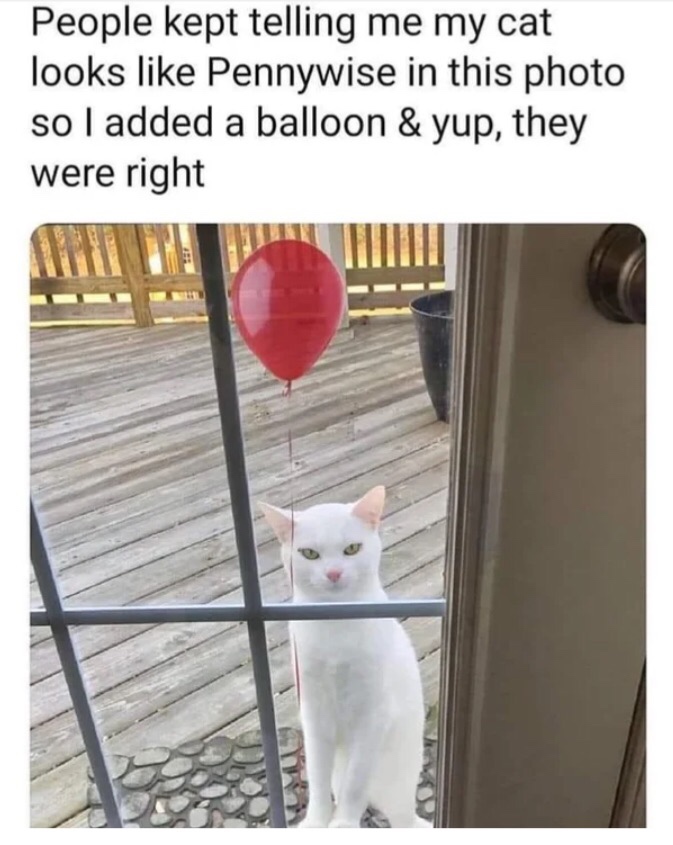pennywise cat - People kept telling me my cat looks Pennywise in this photo so I added a balloon & yup, they were right