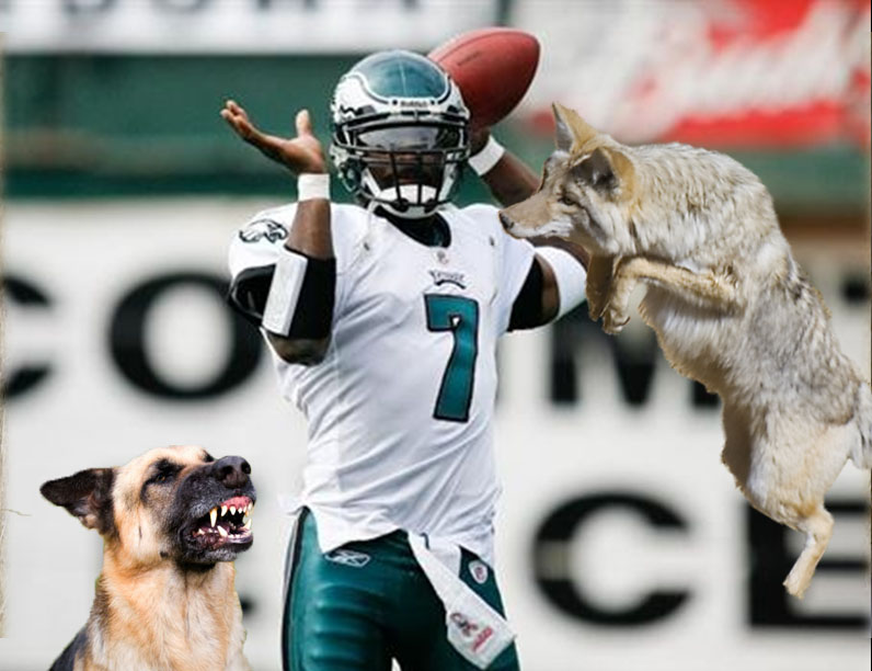 Michael Vick gets sacked by dogs!!