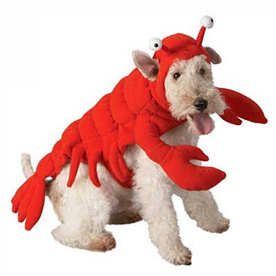 VD lobster dog