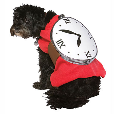 waste of time clock dog
