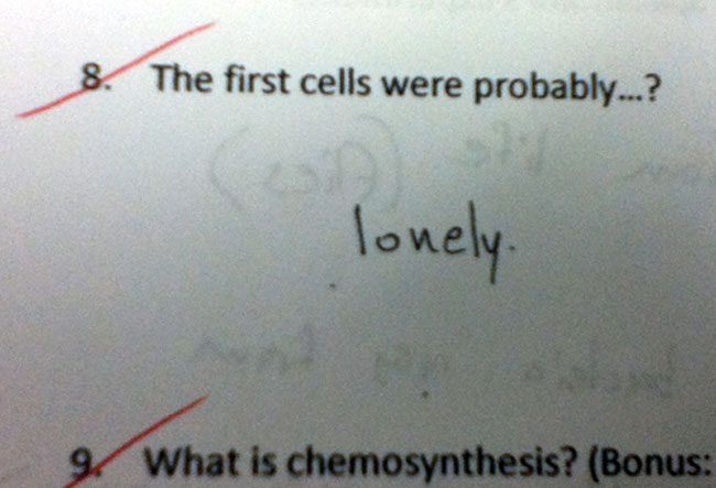 37 Test Answers So Wrong They Might Be Right