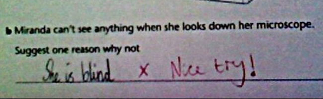 37 Test Answers So Wrong They Might Be Right