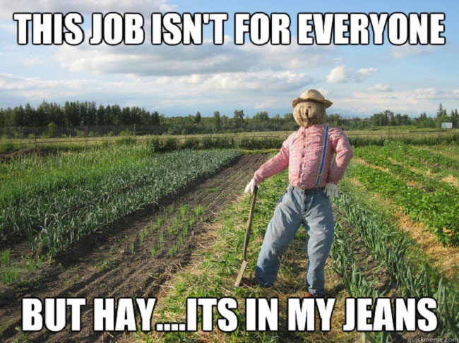 worst puns - This Job Isnt For Everyone But Hay...Its In My Jeans Com