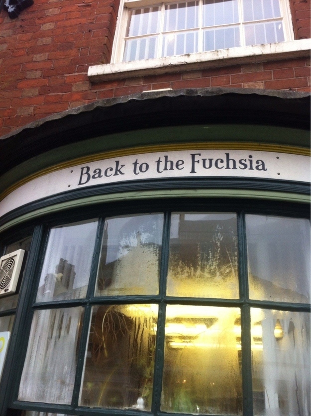 Pun - Back to the Fuchsia ce