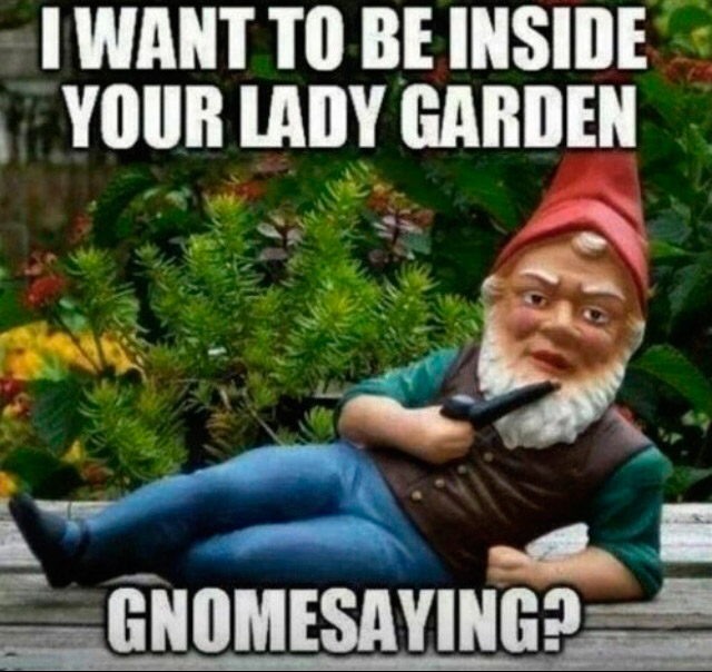 gnome saying - I Want To Be Inside Your Lady Garden Gnomesaying?