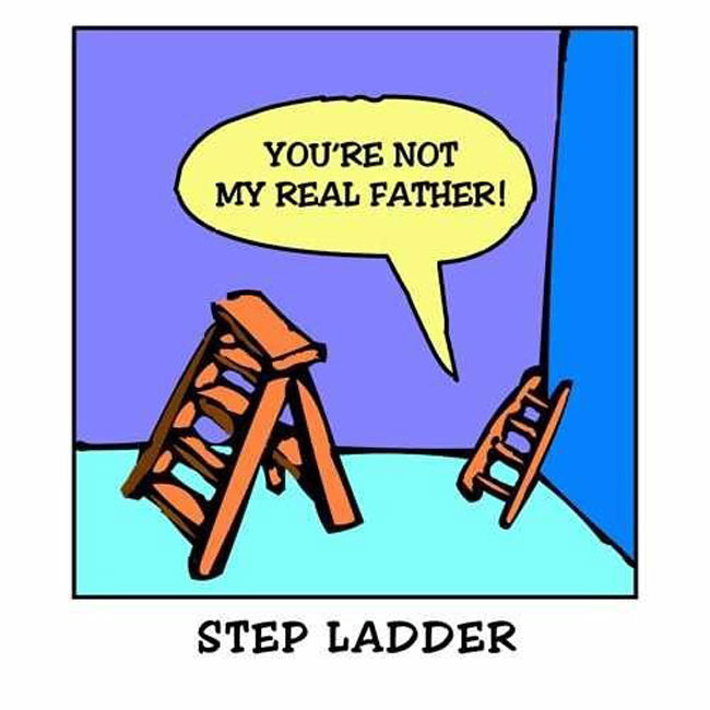 pun jokes - You'Re Not My Real Father! Step Ladder
