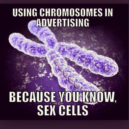 using chromosomes in advertising - Using Chromosomes In Advertising Because You Know Sex Cells