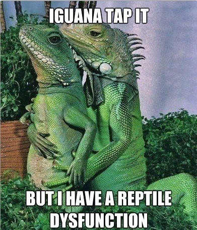 iguana tap it but i have a reptile dysfunction - L Iguana Tapit But I Have A Reptile Dysfunction In