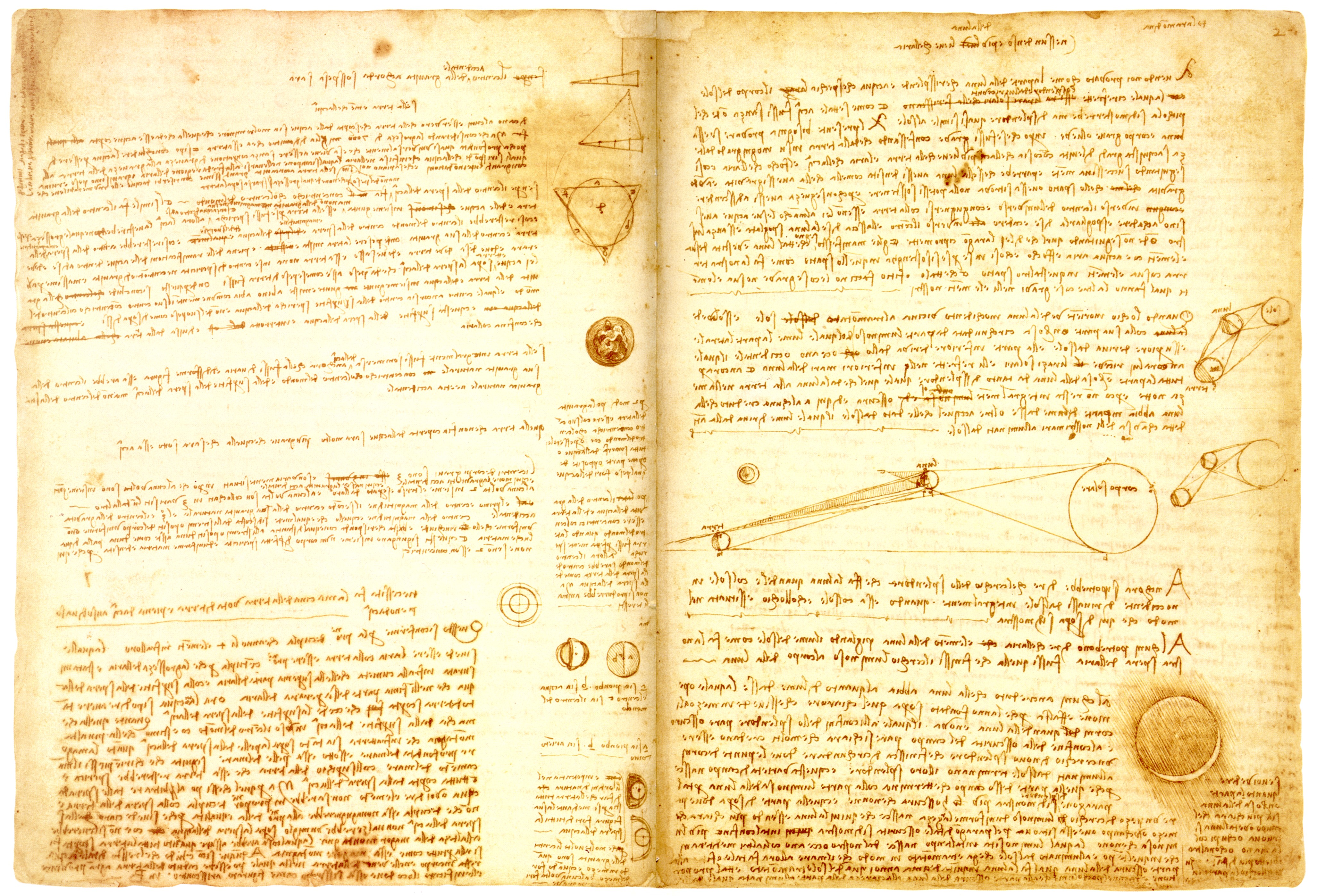 Book: The Codex Leicester of Leonardo da Vinci ($30.8 million)