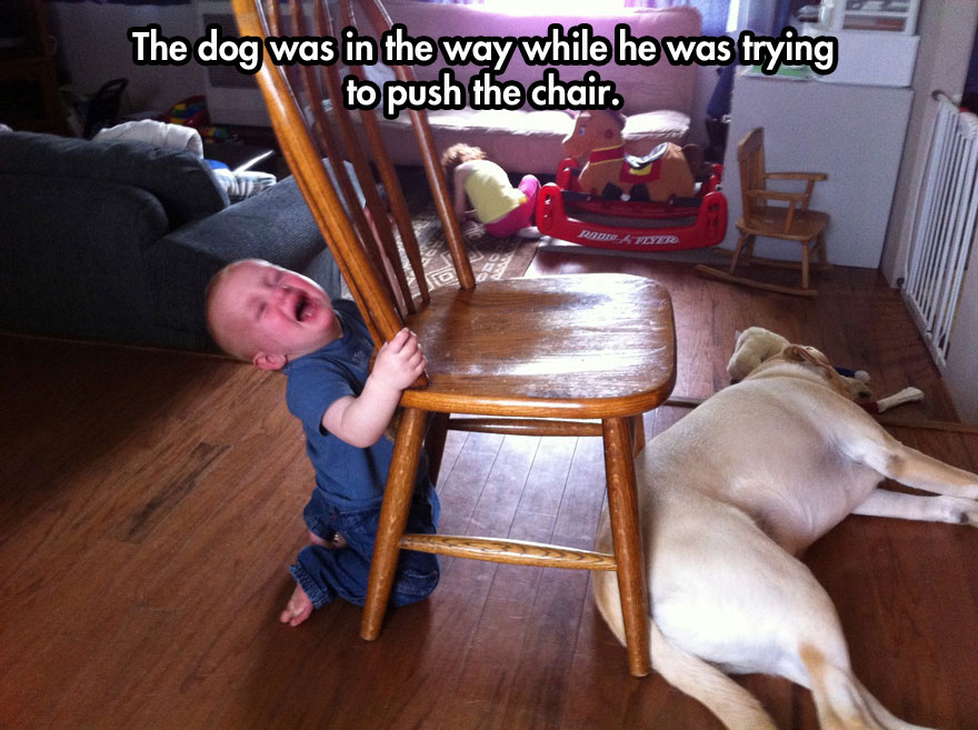 kids tantrum funny - The dog was in the way while he was trying to push the chair.