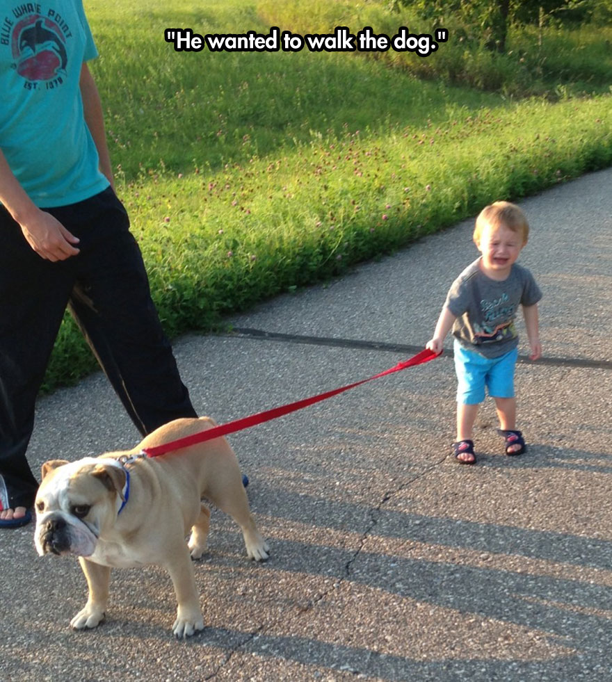 funny toddler tantrum memes - Blue "He wanted to walk the dog." 15T181