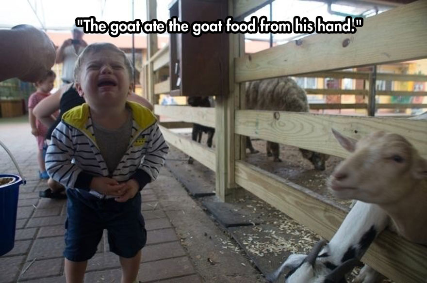 children silly reasons - "The goat ate the goat food from his hand."
