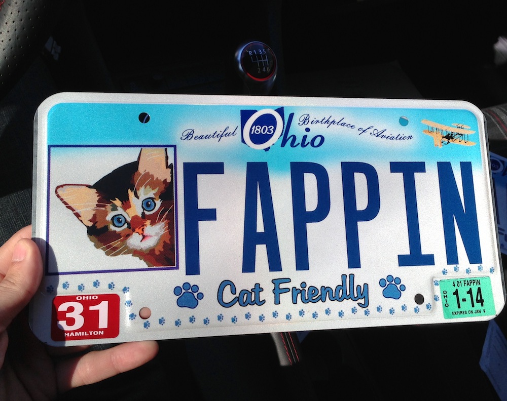 Vehicle registration plate - Birthplace of Aviation Beautiful 1803 Chio Of Appin 401 Fappin Ohio 31. Cat Friendly . Expires On Jans Hamilton