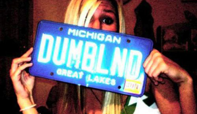 Vehicle registration plate - O Michigan Dumblnd Great Lakes On