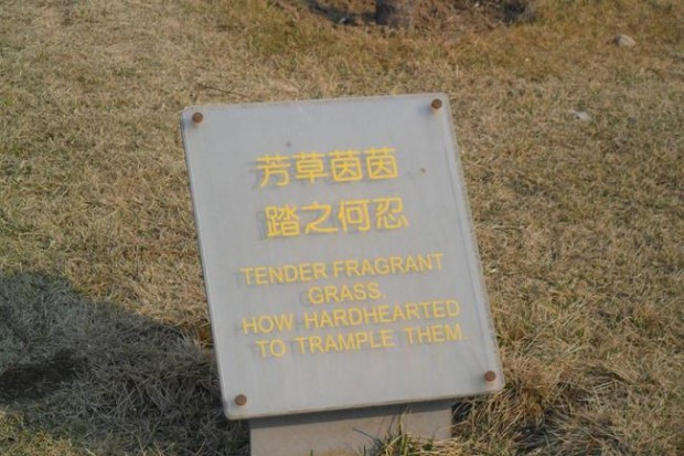 translations go wrong - . Tender Fragrant Grass How Hardhearted To Trample Them
