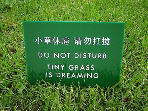 lost in translation signs - Do Not Disturb Tiny Grass Is Dreaming