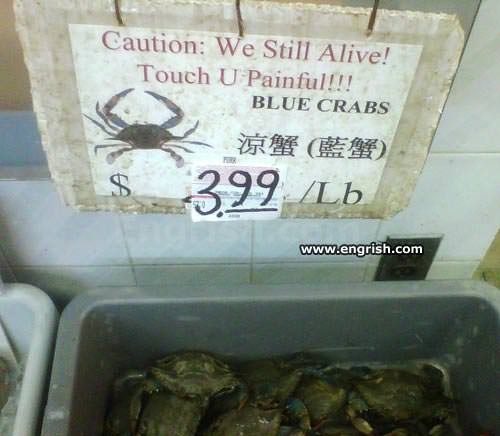 Caution We Still Alive! Touch U Painful!!! Blue Crabs Wem 399 Lb